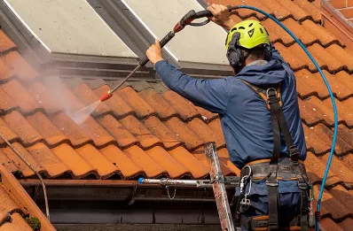 Démoussage et hydrofuge de toiture à Terre-de-Bancalié